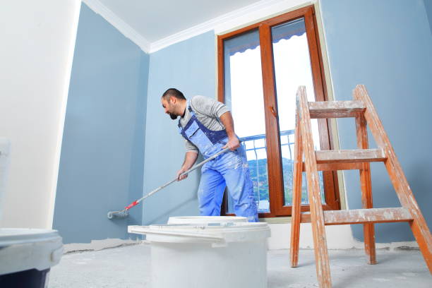  , USA Mold Removal Pros